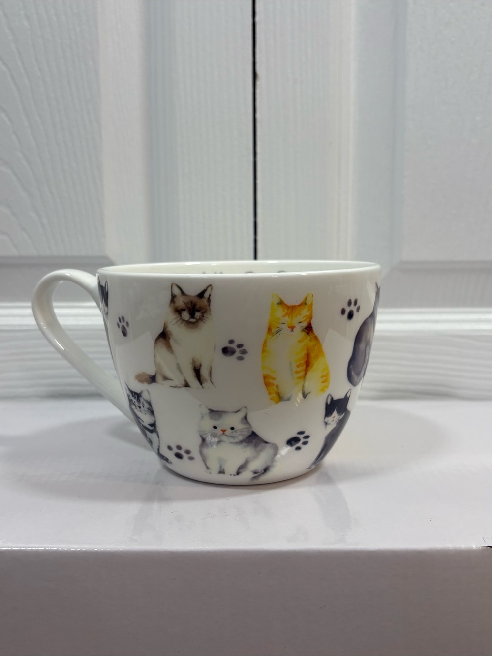 Cat Lover 16 oz Bone China Novelty Mug My Best Friend Coffee Tea Cup